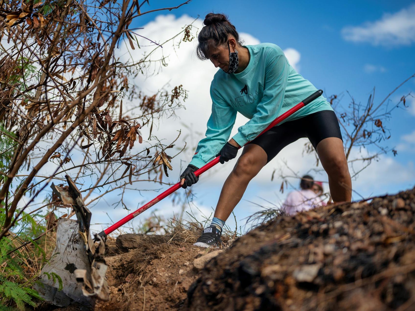 Ecosystem-Restoration